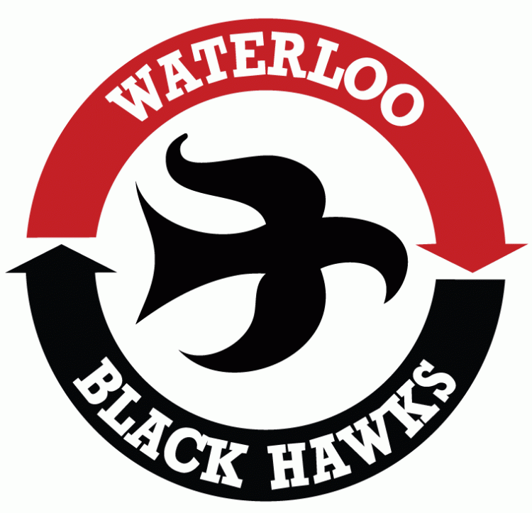 Waterloo Black Hawks 2014-Pres Primary Logo iron on heat transfer